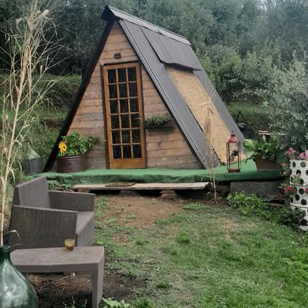 La Fatina Lodge Barga Exterior photo