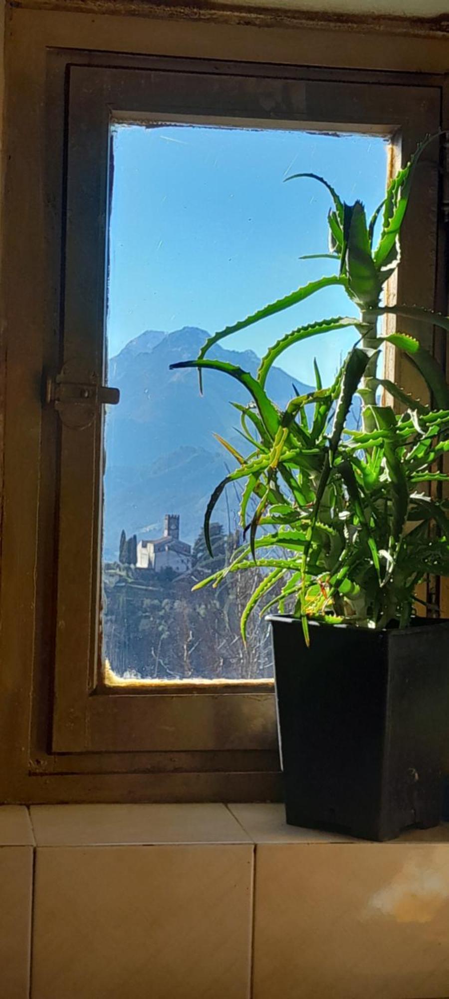 La Fatina Lodge Barga Exterior photo